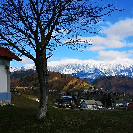 Apartmaji Volf Zgornje Gorje Zewnętrze zdjęcie