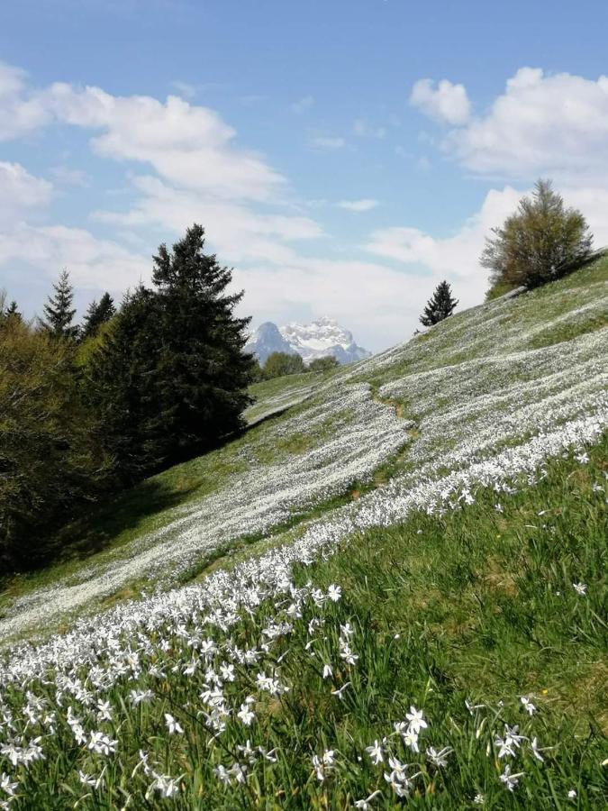 Apartmaji Volf Zgornje Gorje Zewnętrze zdjęcie