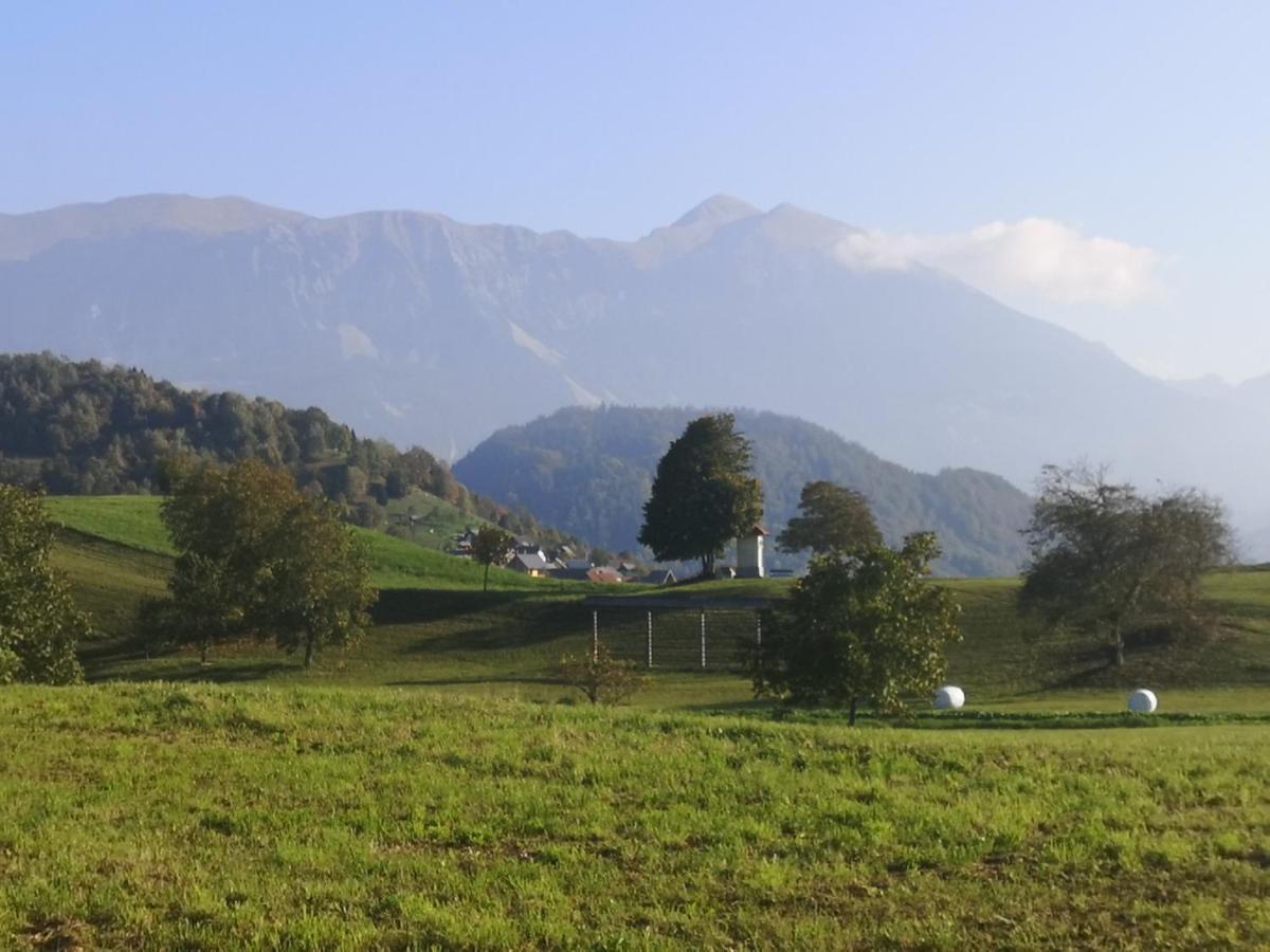 Apartmaji Volf Zgornje Gorje Zewnętrze zdjęcie