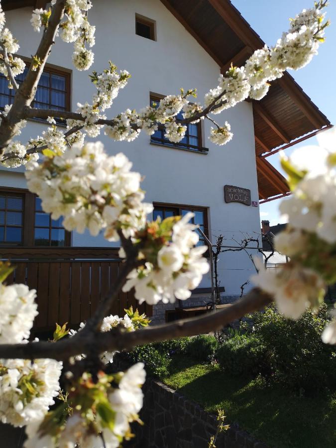 Apartmaji Volf Zgornje Gorje Zewnętrze zdjęcie