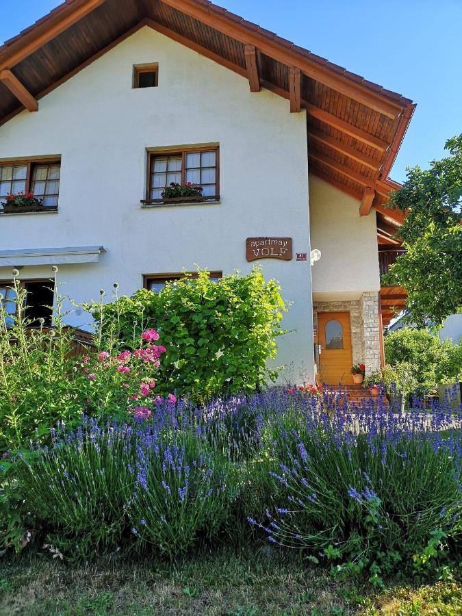 Apartmaji Volf Zgornje Gorje Zewnętrze zdjęcie