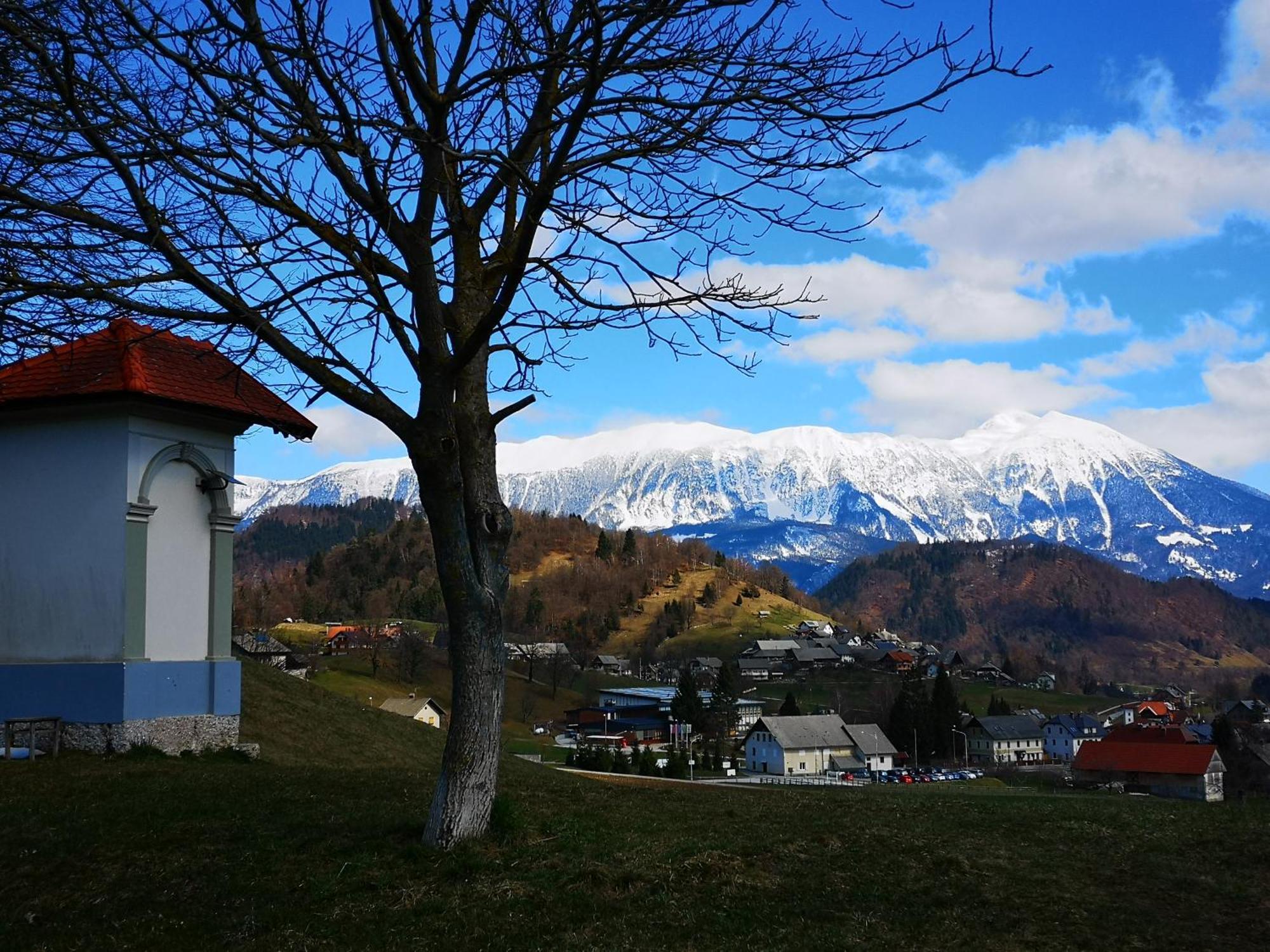 Apartmaji Volf Zgornje Gorje Zewnętrze zdjęcie