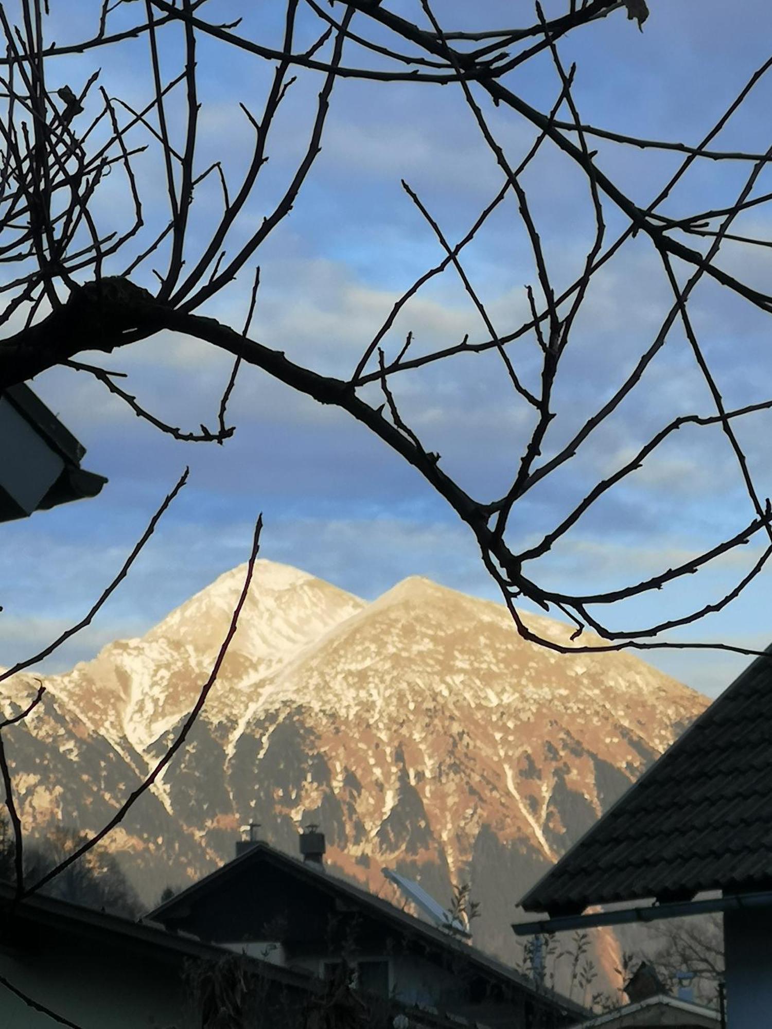 Apartmaji Volf Zgornje Gorje Zewnętrze zdjęcie