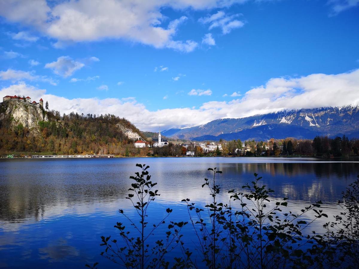 Apartmaji Volf Zgornje Gorje Zewnętrze zdjęcie